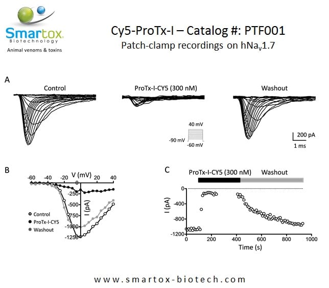 Cy5-ProTx-I - fluorescent Nav1.8 - TRAP1 blocker