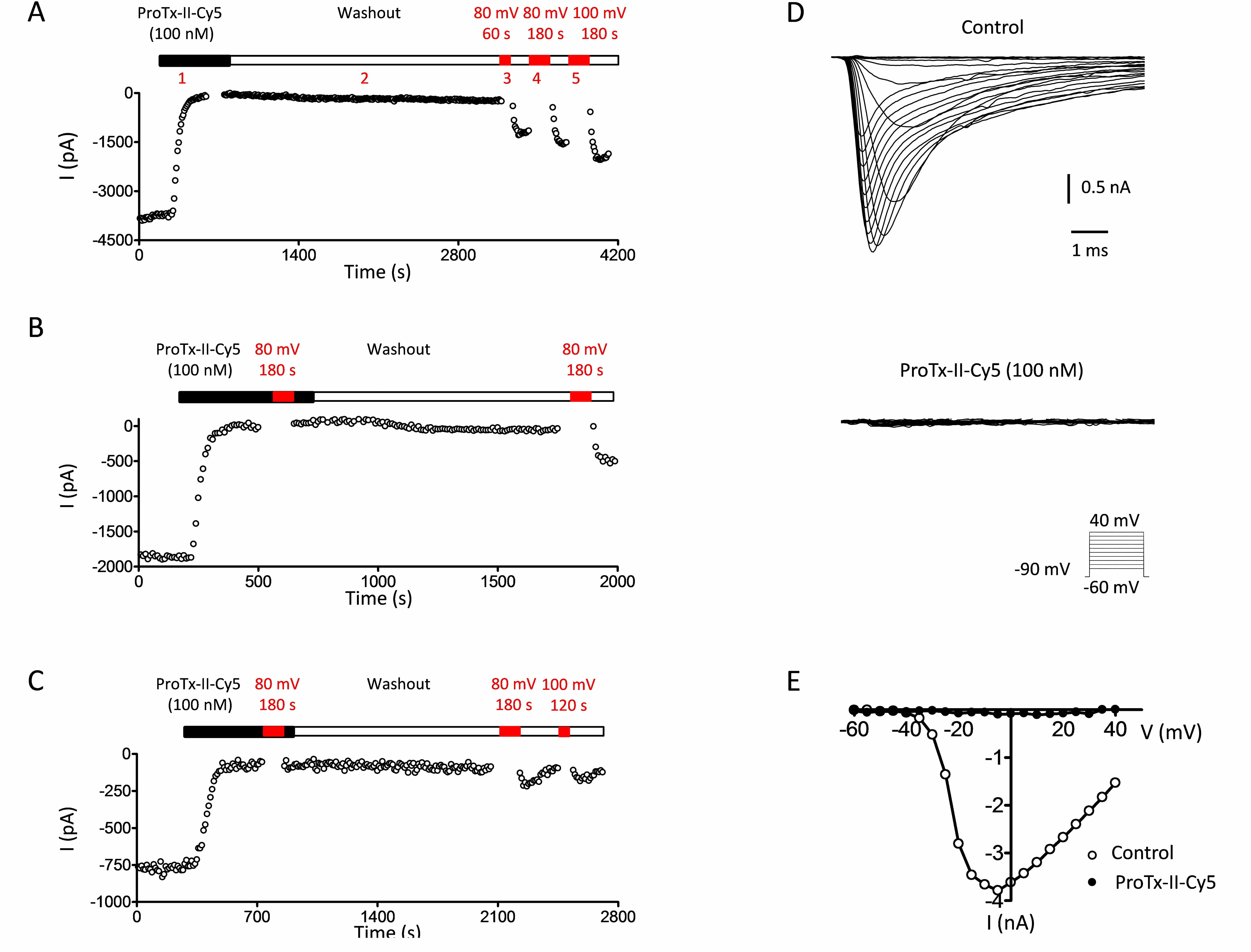 Cy5-ProTx-II bioassay results