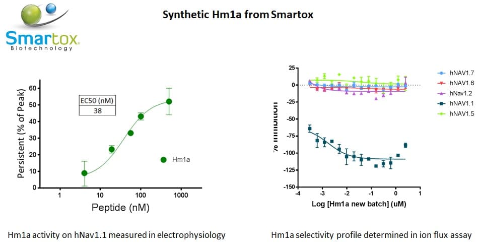 Hm1a_spider_toxin_Nav1.1_agonist